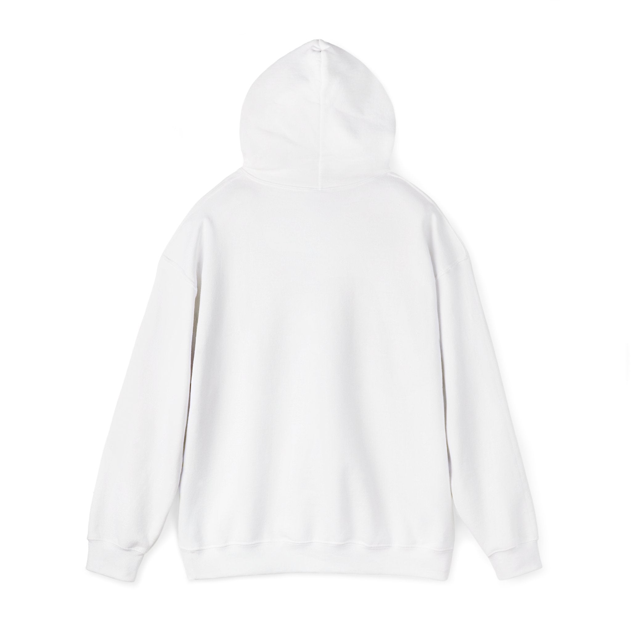Death Valley Retro Hoodie