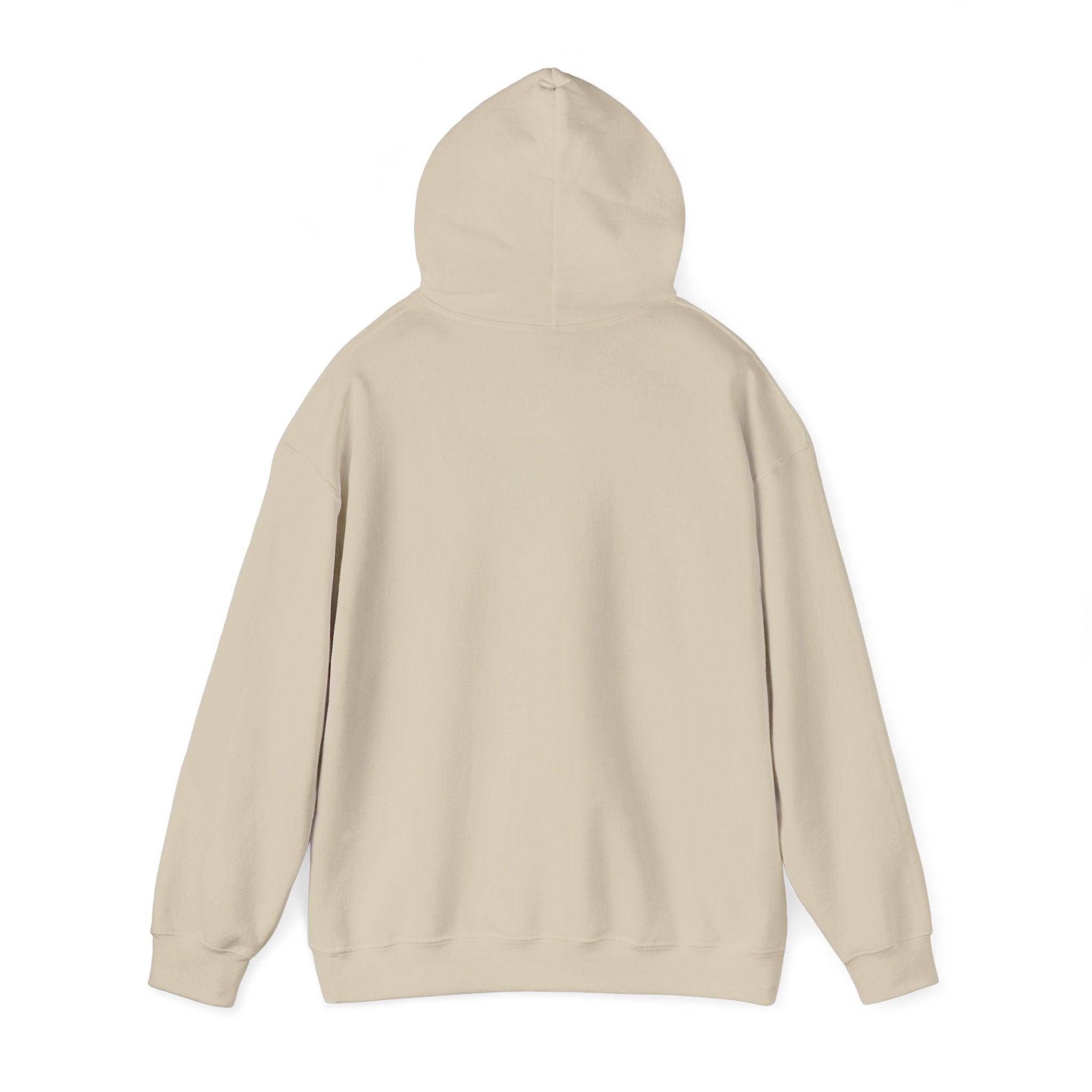 Death Valley Retro Hoodie
