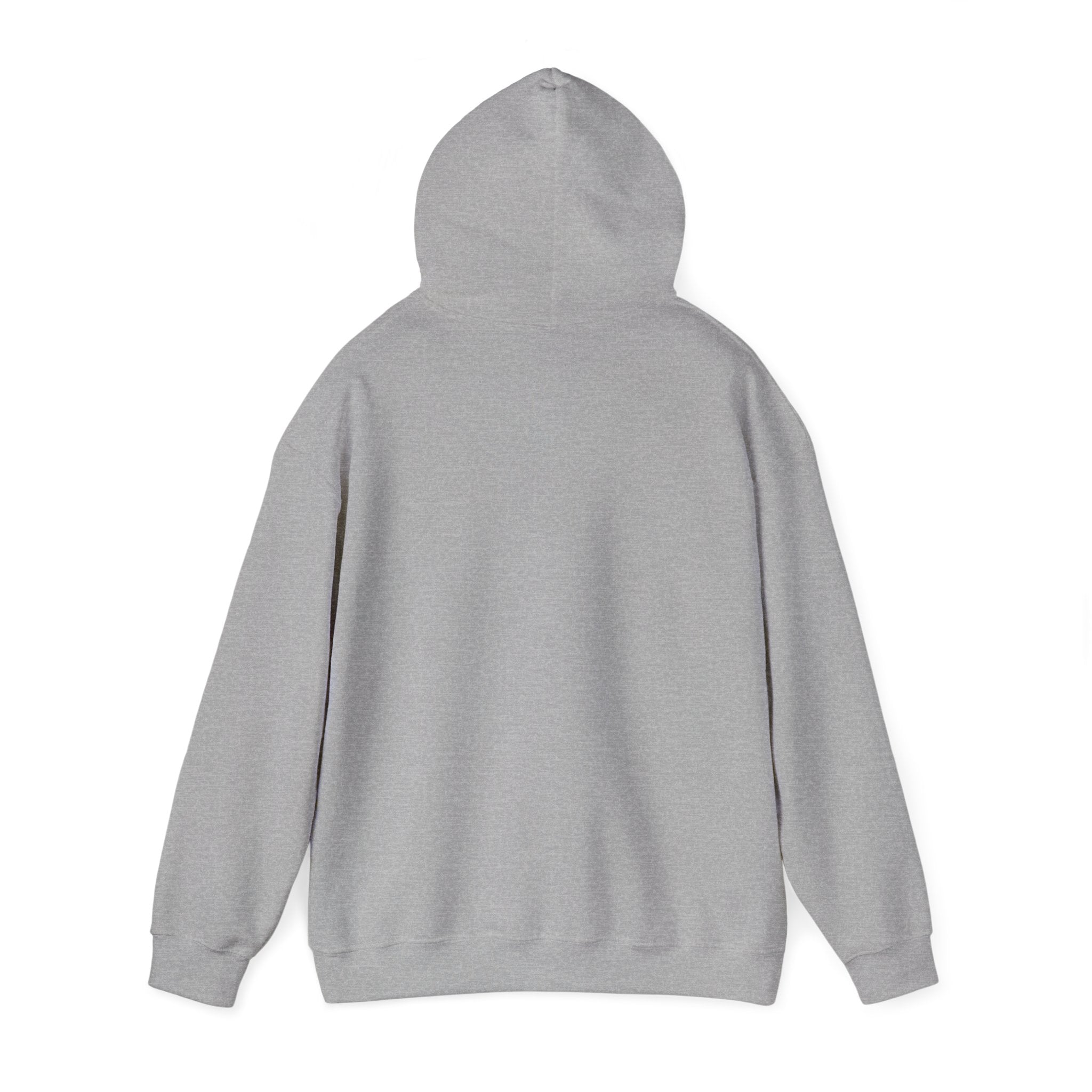 Death Valley Retro Hoodie